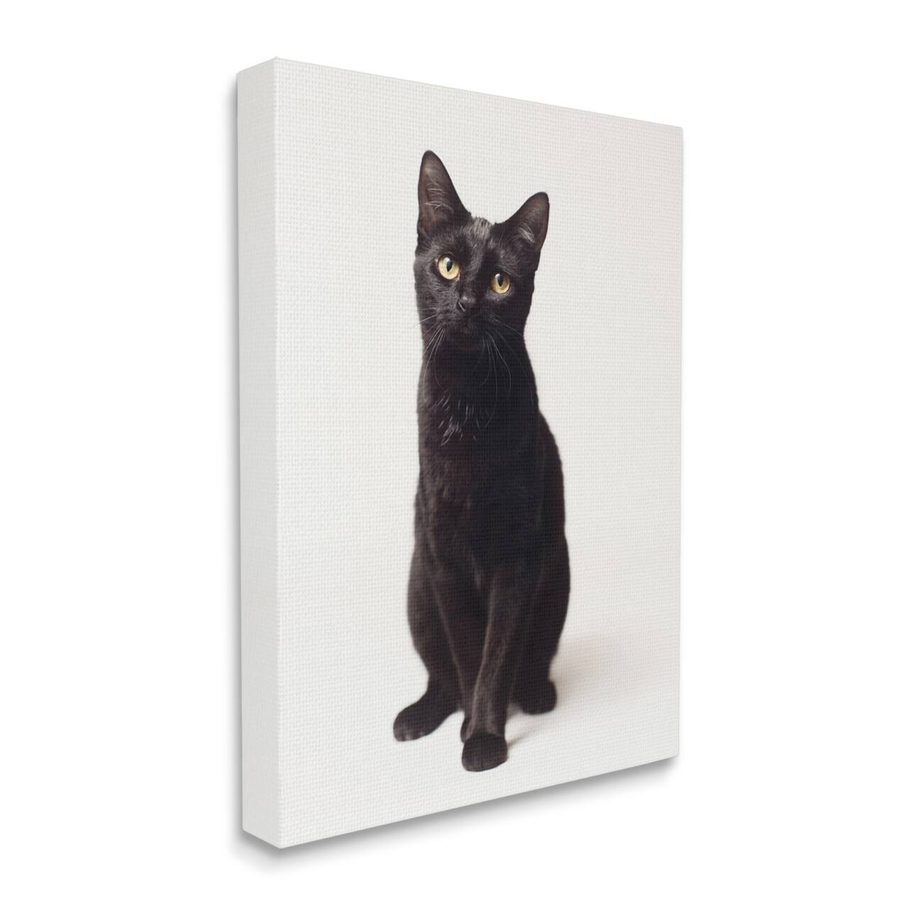 Stupell Industries Cute Black Cat Expressive Eyes Pet Portrait Canvas Wall Art